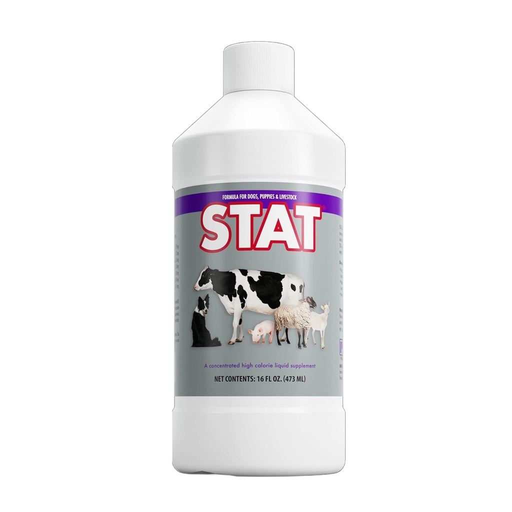 PRN Pharmacal STAT - High Calorie Nutritional Supplement to Help Restore Hydration &amp; Nutrition Levels in Animals - Vanilla Flavored Dietary Support with Vitamin A, D3, C, E, > Más - 16 Fl Oz