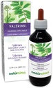 Naturalma Valerian (Valariana officinalis) Root Alkoholik gabeko Tincture - 6,76 fl oz Liquid Extract in Drops - Herbal Supplement - Vegan