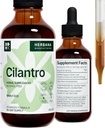 Cilantro Leaf 4 fl oz Liquid Extract - Organic Coriandrum Sativum Drops for Body Cleansing & Detox - Natural Calming Herbal Tincture Supplement for Nerwowy System - Wysoka moc - 90- Day Supply