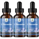 Natures Craft High Absorption L-Theanine Liquid Drops - Nootropic Focus Supplement with L Theanine 200mg Per Serving and Chamomile Extract - Adults and Kids Relaxation and Focus - 2 Fl Oz (3 Pack)