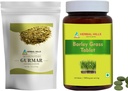 HERBAL HILLS Gurmar Tea Powder and Barley Grass Tablets Pack of 2 Combo