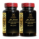 L-LYSINE 500 - L-Lysine 500mg, for Healthy Immune Function, Supports Collagen Synthesis, Soy-Free, Gluten-Free, Non-GMO, Lysine Supplement Supports Healthy Lip and Oral Tissue - 2 Bottles 200 Counts