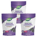 Nature's Way Sambucus Immune Lozenges, High Potency Vitamin C, Elderberry, Wild Cherry Flavored, 24 Lozenges (Packaging May Vary) - Pack of 3