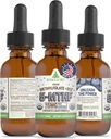 RawGuru L-Methylfolat 15 mg + Vitamin B12 - Organic Vegan Methylated B12 med spårmineraler - Nano-Processed & Enhanced Liquid Formel - 300 portioner Vegan Drops per 30 ml, Pack på 1