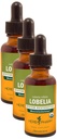 Herb Pharm Certified Organic Lobelia Liquid Extract for Musculoskeletal System Support - 1 Ounce (DLOBEL01) (Pack of 3)