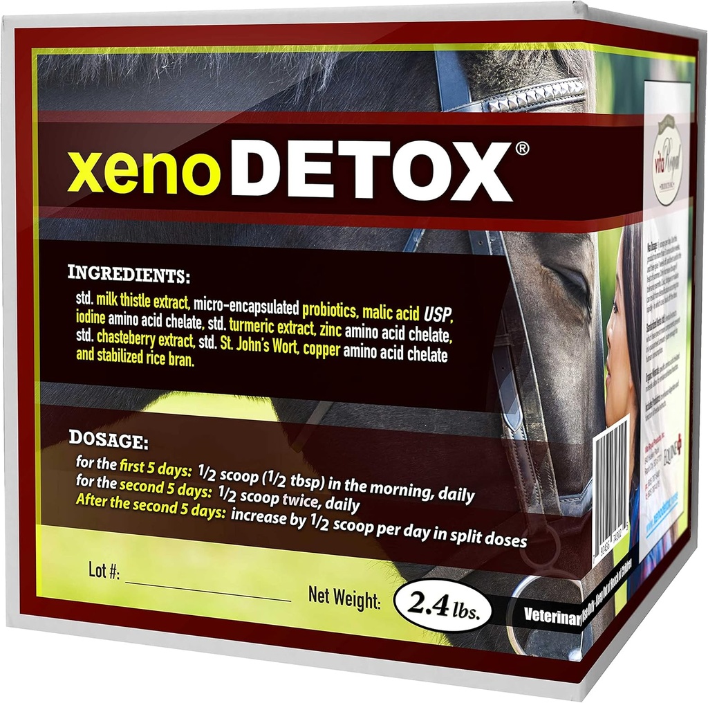 & Thyroid Mendukung Formula untuk Kondisi Kuda w / Kulit - Standardisasi Manusia Herbs Tingkat