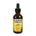 Nature's Life B12 Drops 5000 mcg - Vitamin B12 Methylcobalamin - Liquid B12 Supplement for Energy Metabolism, Nerve Function and Red Blood Cell Support Natural Mixed Berry, Sugar Free 2 Fl Oz