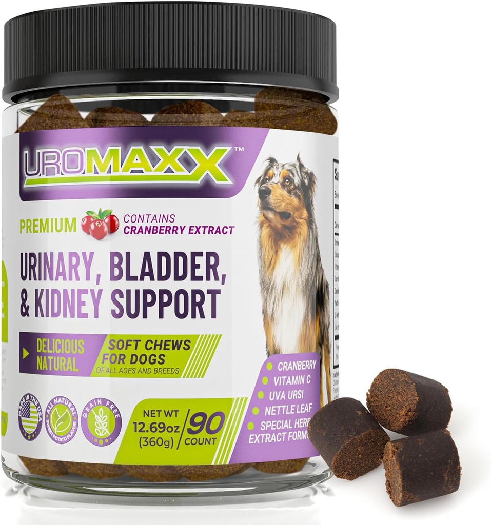 Dog Urinary Tract infeksiya müalicəsi, Bladder və Uşaqlar üçün Kidney Support, güclü Pet Care, Cranberry və Glucosamine ilə Natural Soft Chews, Amerikada Made, Chicken Flavor, 90 Count, 1 Paket
