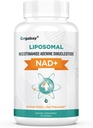 Orgabay Liposomal NAD+ Supplement 500 mg, høy absorpsjon, økt NAD+ med TMG 250 mg, faktisk NAD Plus mer effektiv enn nikotinamid Riboside, støtte cellulær energi, sunn aldring | 60 Softgels