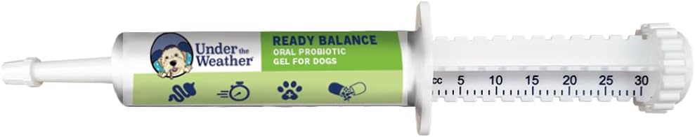 Sota el balanç de PyMP per a Dogs Oral Probiotic i Prebiotic Gl