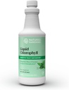 Nature's Sunshine Liquid Chlorophyll - 免疫サポート、デトックス&クレンジング、スペアミントオイル、自然エネルギーブースト、内部消臭剤 - 16 Fl Oz