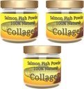 Salcoll Collagen - 100% Natural Bioactive Marine Collagen Powder - Osmakad, Kosher, kan hjälpa ben, gemensam, hud, hår hälsa, 3 Pack, tre månaders leverans
