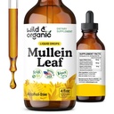 Wild & Organic Mullein Drops for Lungs - Cleanse and Detox - Liquid Mullein Leaf Extract for Lungs with Echinacea - Add to Tea - Verbascum Thapsus Tincture - Sugar & Alcohol-Free Supplement - 4 fl oz