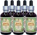 Witte Wilg (Salix Alba) Glyceriet, Organisch gedroogde Bark Alcohol-FREE Liquid Extract (Grote naam: HerbalTerra, Trots gemaakt in USA) 5x2 fl.oz (5x60 ml)