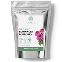 Echinacea Purpurea 4 oz. (113g), USDA Certified Echinacea Tea, Premium Quality Herb, Purple Coneflower, Cut & Sifted
