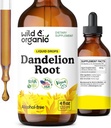 Wild " Organic Dandelion Root Extract drops - Liver Cleanse Detox Support - Dandelion Tincture for Liver Health - Vegan, Sugar " Alcohol-Free Liquid supplement - 4 fl oz