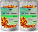 BIO VITALICA Sea Moss Gummies – Bladderwrack & Burdock Root – Wildcrafted Gel + Powder – Vegan, Keto, Non-GMO, Gluten-Free – Fruity Mineral-Rich Gummies – 50 Count (2 Pack)