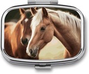 Pill Box 2 İqtisadi Tibb Pill Case Adorable Horse Printing Pill Box Travel Pill Pocket Purse Daily Medicine Vitamin Box Fish Oil Box Supplement Box