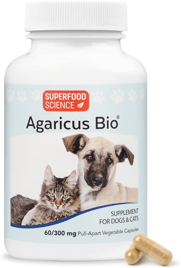 Agaricus Bio 300mg for Canines and Felines, Beta Glucan Mushroom Pet Supposed to Boost 关键免疫防护和细胞健康,抗氧化剂粉末,老狗和猫的能源支持,60盖