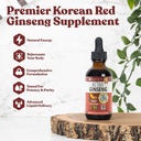 Aktiv Ginseng koreansk Red Panax Ginseng med naturlige Ginsenosider - Raskabsorberende væske - støtter sunn energi, vitalitet, humør og mer