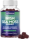 Island Sea Muss Gummies - with Black Enderbar Bladderward Burdrack Turmeric Original 3 Original CD3 Zync - Semos Supples Supples for Authers Men - Sween - Glouten Free เวก้า