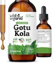 Wild & Organic Gotu Kola Herb Tincture - Brain Support - Gotu Kola Liquid Ekstraktı Drops - Vegan, Sugar & Alkol-Free Centella Asiatica Supplement - 2 fl oz
