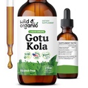 Wild & Organic Gotu Kola Herb Tincture - Brain Support - Gotu Kola Liquid Extract Drops - Vegan, Sugar & Alcohol-Free Centella Asiatica Supplement - 2 fl oz