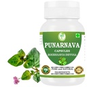 Punarnava Capsules (Boerhaavia Diffusa) 500mg – 60 Veg Capsules | Herbal Wellness Supplement for Natural Kidney & Liver Support | Plant-Based Detox & Cleansing Formula | Pack of 1