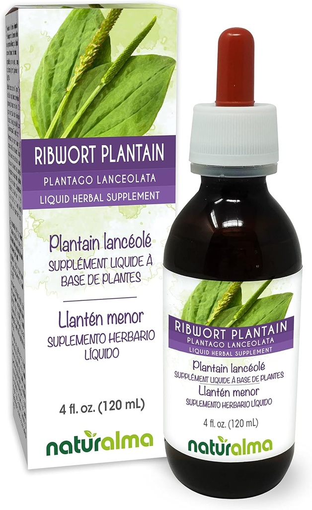 Naturalma Ribwort Plantain edo Narrowleaft Plantain (Plantago lanceolata) Leaf Alcohol-Free Tincture - 4 fl oz Liquid Extract in Drops - Herbal Supplement - Vegan