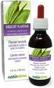 Naturalma Ribwort Plantain tai Narrowleaft Plantain (Plantago lanceolata) Leaf Alkoholiton Tincture - 4 fl oz Liquid Extract in Drops - Herbal Supplement - Vegan