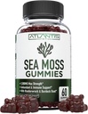 Irish Sea Moss Gummies - 3000MG - Formuluota w / Irish Sea Moss, Bladderwrack & Burdock root, Contain Eterinis vitaminas & Mineral - Antioksidantas- Rich Superfood Addition, 60 Sea Moss Gummies for Suaugusiesiems