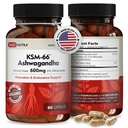 DailyNutra KSM-66 Ashwagandha 600mg Organic Root Extract - High Potency Supplement with 5% Withanolides | Relieves Tiredness, Supports Relaxation, Focus, Energy, & Muscle Growth (60 Capsules)