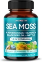 Premium Moss dodatek s Black Seed Oil, Ashwagandha, Bladderwrack, Nettle- Advance- Advanced 18- in-1 Formule pro posílení imunity, Mineral- Rich - Vyrobeno v USA (150 Počet (balení 1))