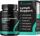 Herbal Lymph System Support Supplement - Лімфатичний комплекс підтримки з Echinacea Goldenseal Astragalus & Hydroxytyrosol для Lymphatic Drainage & Immune Support - Vegan Non-GMO Gluten Free (2 місяці)