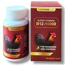 B-12 200 Tablets for Birds Roosters