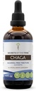 Rahasia Suku Chaga Tincture Alcohol- Extract Bebas, Wildmade Chaga (Inonotus miring) Kering Whole Mushroom (4 FL OZ)