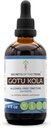 Secrets of the Tribe Gotu Kola Tincture Alcohol-Free Liquid Extract, Gotu Kola (Centella Asiatica) Dried Herb (4 Fl Oz)