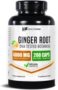Saludfare Ginger Root Extract 4000mg ← Suplemento Silencio 200 Vegan Pills Silencio Digestive Support ← High Potency ← Non-GMO, Gluten-Free Silencio Made in USA