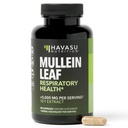 Mullein Leaf Capsules for Respiratory Health - 500mg Mullein Extract for Lung Support and Immune Function - 90 Count - Vegan, Non-GMO Capsules - Herbal Supplement for Daily Wellness - 3 Month Supply
