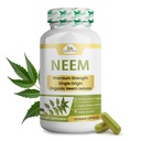 Organic Veda Neem Capsules – Herbal Supplement for Clear Skin, Immune & Gut Health For Men & Women - Single Origin True Green Neem Leaf Powder - Purifying & Cleansing Ayurveda Herb, 120 Vegan Capsules