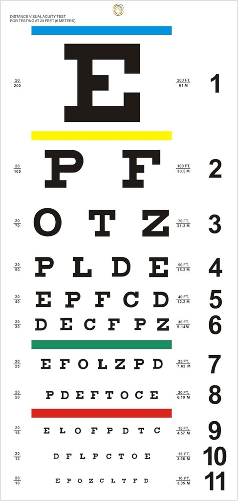 Eye Chart, Fashioned Snellen Eye Chart for Eye Exams 20 Feet, 22x11 Inches Plastic Low Vision Eye Charts Wall Chart with Metal Eyelet for Kids Gifts Wall Decoration (20 Feet Test Distance)