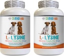Dog Имунни лакомства - Dog LYSINE прах - Pure Powder Form - Имунна система Поддръжка - Ветеран Препоръчано - l-lysine за кучета - 2 бутилка (16oz 453.6)
