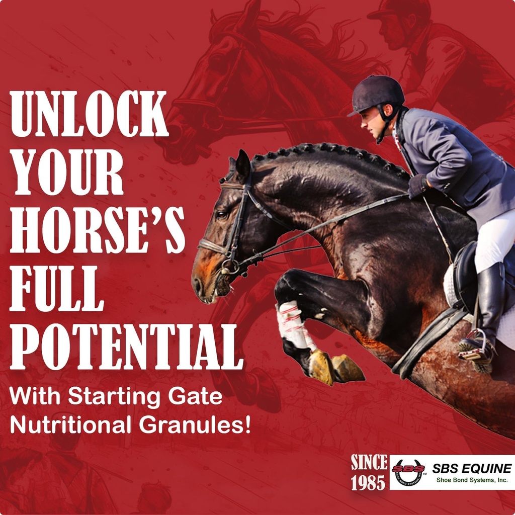 SBS Equine Start Gate Granule - Horse Stomach Ulcer Treatment & Ulcer Relief, konjski dodatek Formula Scoop za krmo, Perfect Prep kot Hoof dodatek (5 Galon)