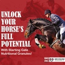 SBS Equine Start Gate Granule - Horse Stomach Ulcer Treatment & Ulcer Relief, konjski dodatek Formula Scoop za krmo, Perfect Prep kot Hoof dodatek (5 Galon)