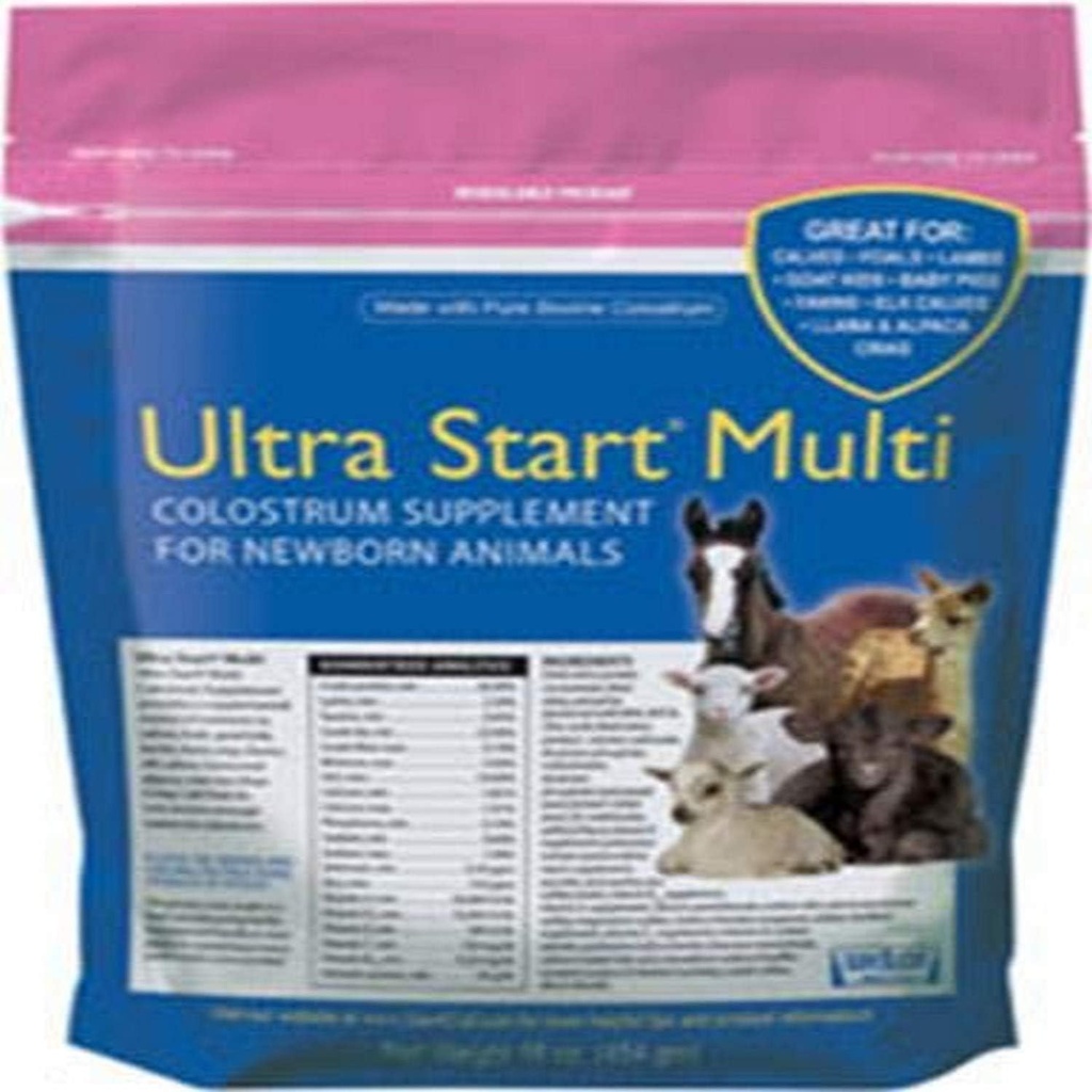 Colostrum supplement for Horse