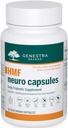 Genestra Brands HMF Neuro Capsule - Women, Men & Kids Probiotics - for Gut Health - 60 Capsules
