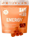 SAM+LEO Biotin, Vitamin C, B3, B6 və B12 ilə Uşaqlar üçün Energy & Focus Supplement üçün bütün Natural & Vegan Gummy - Stress & Digestive Support, Strawberry Gummies - 60/ct