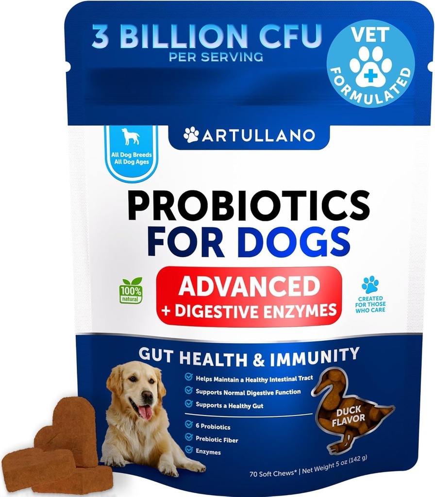 Probióticos para cães - Suporte Gut Saúde, Pele Comichão, Alergias, Imunidade, Balanço Levedura - Dog Probióticos e Enzimas Digestivas com Prebióticos - Reduzir Diarréia, Gás - 70 Mastigação Probiótico para Cães