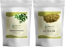 HERBAL HILLS Neem Leaf pulver og Gurmar pulver Gymnema Sylvestre pakke med 2 Combo
