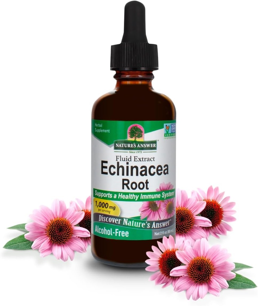 תשובתי של הטבע Echinacea | תמיכה במערכת חיסונית בריאה